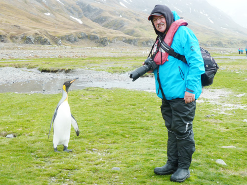 2014, als ich in Südgeorgien ein paar kontaktfreudige Königspinguine traf.